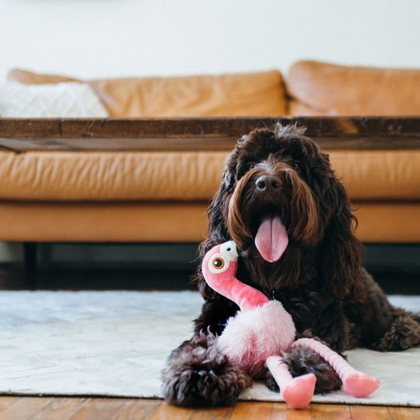 Hračka pro psa Plameňák – P.L.A.Y.-image-1