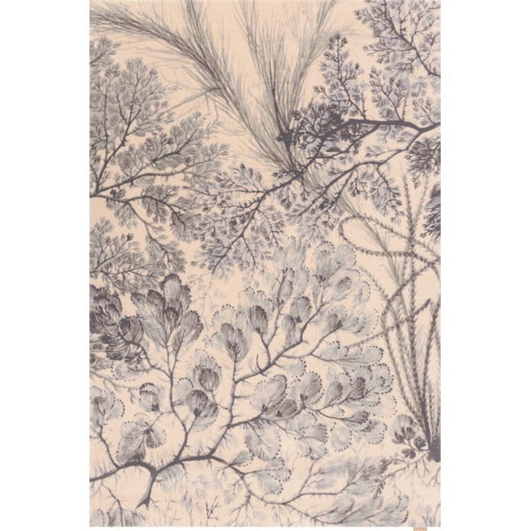 Vlněný koberec v mentolové a béžové barvě 200x300 cm V&A Calisia Kelp – Agnella