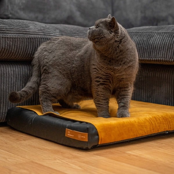 Žlutý povlak na matraci pro psa 70x60 cm Ori L – Rexproduct-image-1