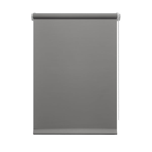Tmavě šedá roleta 80x150 cm Mini Relax – Gardinia