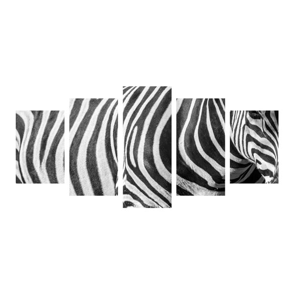 Vícedílný obraz Black&White Zebra
