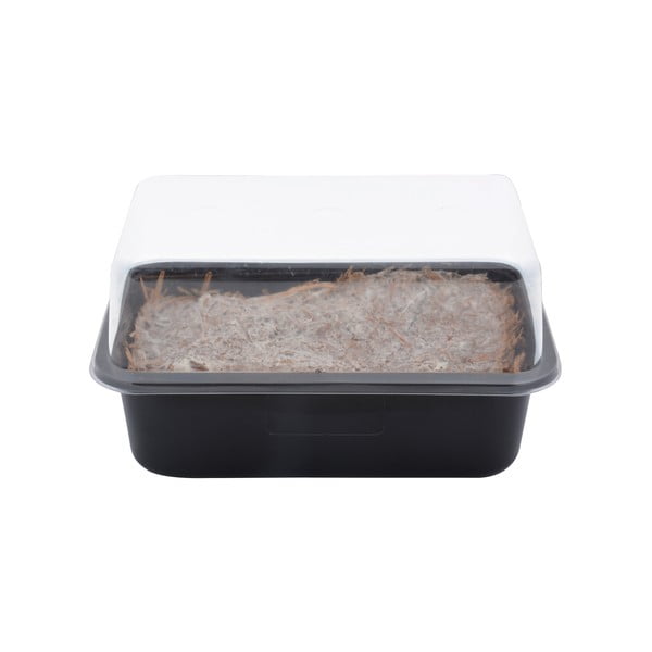 Pěstírna Field Mushroom – Esschert Design-image-3