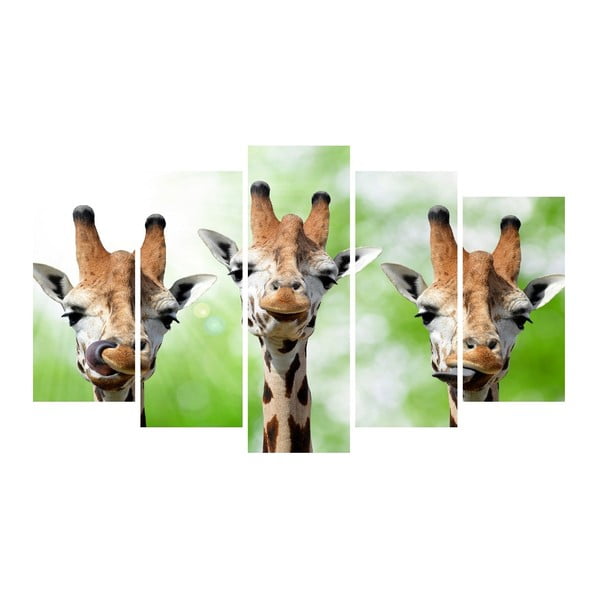 Vícedílný obraz na plátně Animal Giraffe