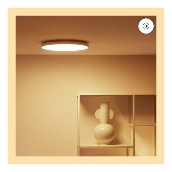 LED smart stropní svítidlo 21 W Rune – WiZ-image-1
