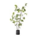 Umělá rostlina (výška 160 cm) Palmatum – Bloomingville