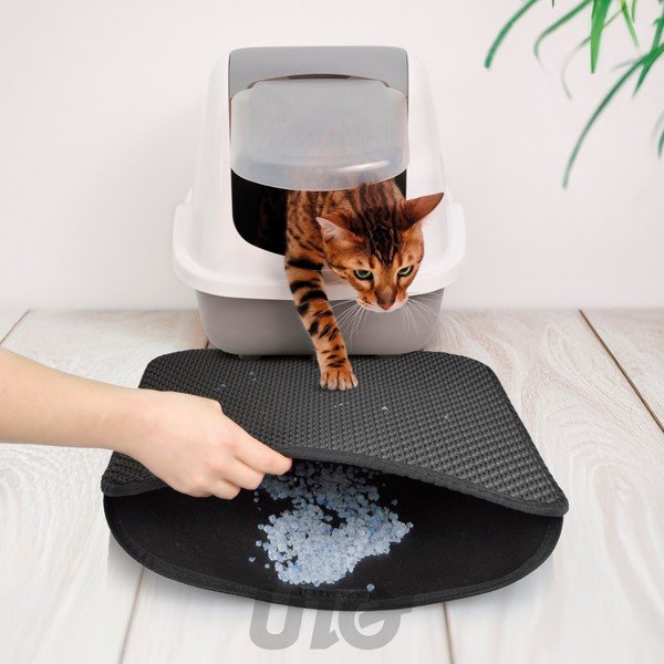 Podložka pod kočičí záchod 50x40 cm – Love Story-image-1