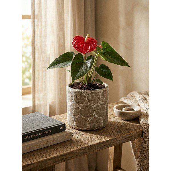 Ručně vyrobený obal na květináč z terakoty ø 12 cm Felan – Bloomingville-image-2