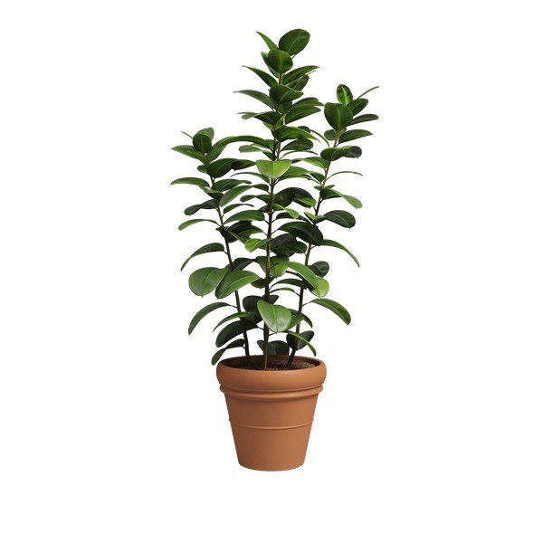 Květináč z terakoty ø 47 cm Mariza – Artevasi-image-4