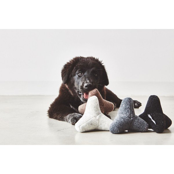 Hračka pro psa Quattro Greige S/M – MiaCara-image-2