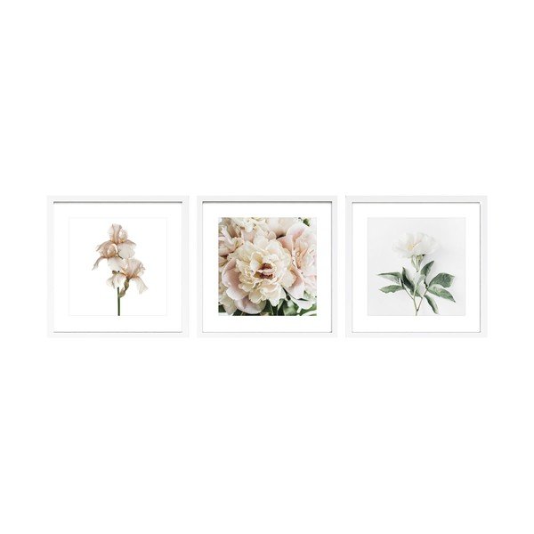 Tištěné obrazy v sadě 3 ks s rámem 30x30 cm Posy – Styler