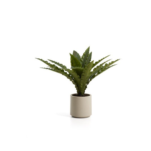 Umělý sukulent (výška 70 cm) Neottopteris – Kave Home