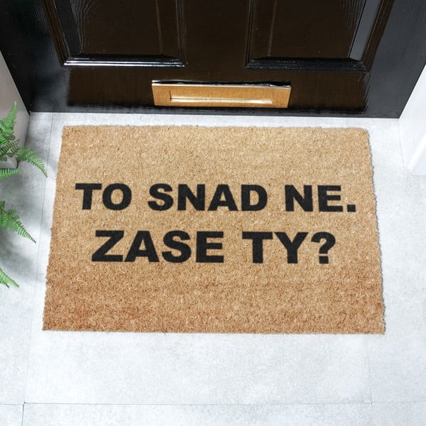 Rohožka z kokosového vlákna 40x60 cm Zase Ty? – Artsy Doormats-image-2