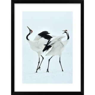 Plakát 30x40 cm Dancing Herons