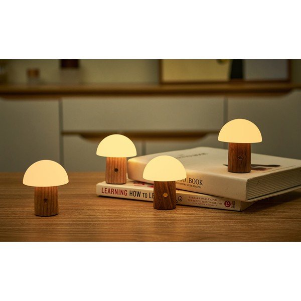 LED stmívatelná stolní lampa z jasanového dřeva v přírodní barvě (výška 7 cm) Alice – Gingko-image-1