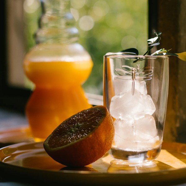 Sklenice La Rochère Libellules, objem 350 ml-image-3