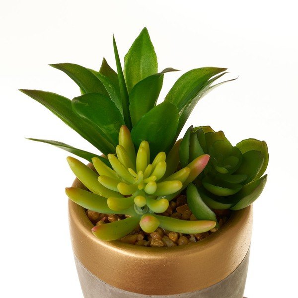 Umělé rostliny v sadě 4 ks (výška 17 cm) Cactus – Casa Selección-image-4