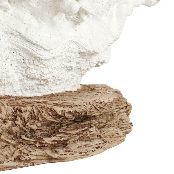 Dekorace Côté Table Coral-image-2