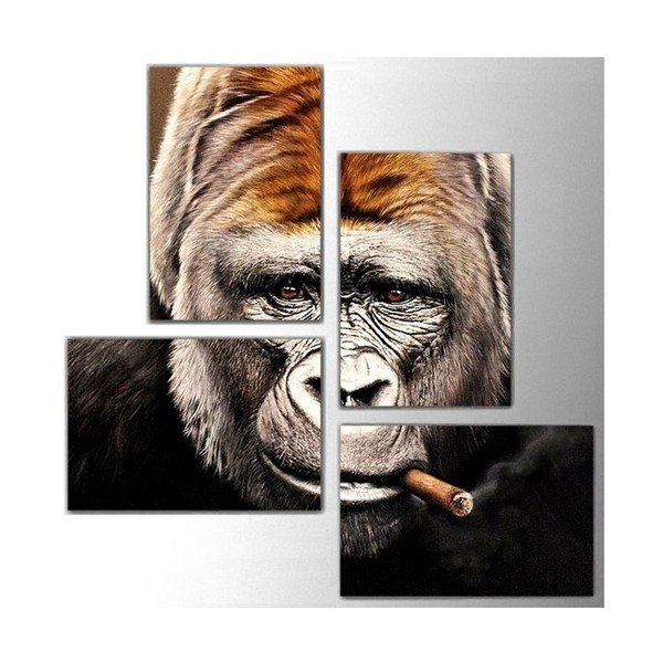 4dílný obraz Monkey, 76x76 cm