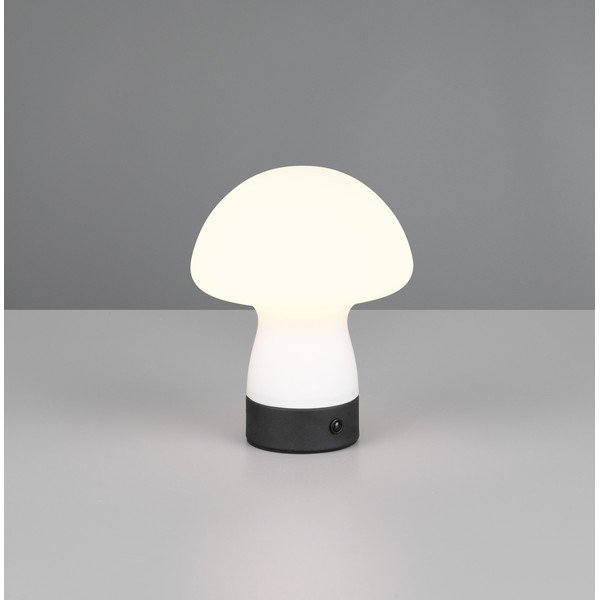 Matně bílá LED stolní lampa se skleněným stínidlem (výška 18 cm) Dooley – Reality-image-1