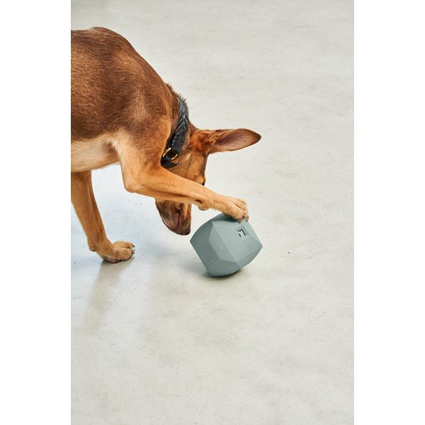 Hračka pro psa Dado Eucalyptus – MiaCara-image-2