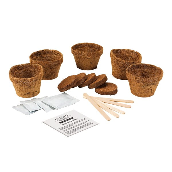 Pěstitelský set se semínky bonsaje Gift Republic Bonsai Trees-image-1