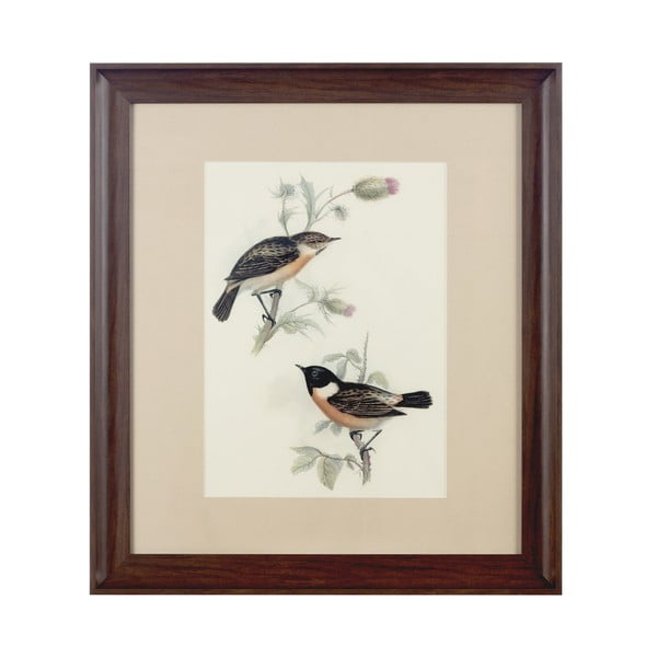 Obraz Birds Brown, 55x62 cm
