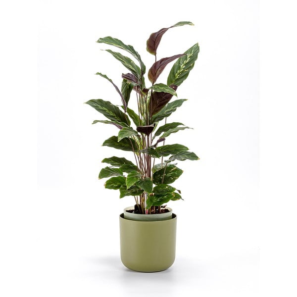 Zelený samozavlažovací květináč Plastia Tolita, ø 16 cm-image-1