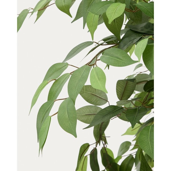 Umělý fíkus (výška 180 cm) Ficus – Kave Home-image-3