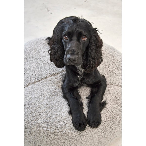 Šedý pelíšek pro psa z materiálu bouclé ø 90 cm Senso Pouffe Pebble M/L – MiaCara-image-2