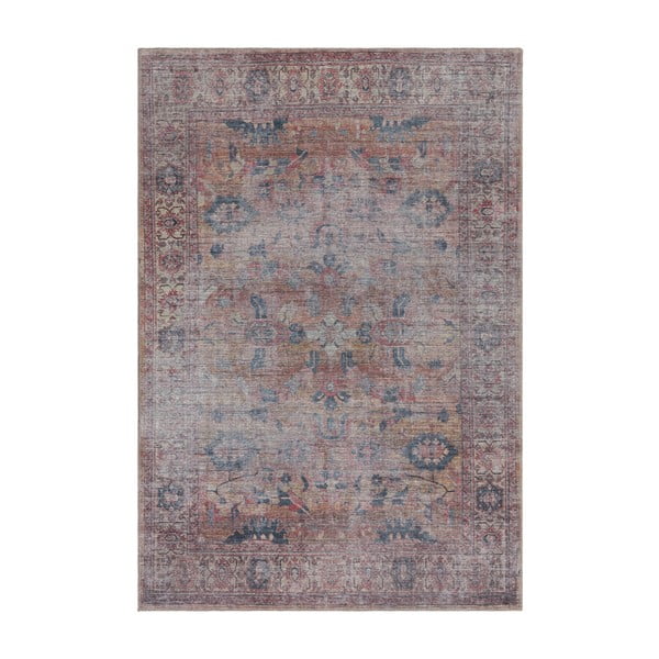 Koberec 170x120 cm Kaya - Asiatic Carpets