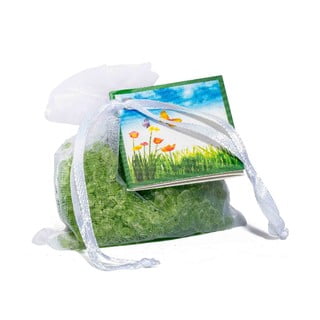 Vonný sáček z organzy se svěží vůní Boles d´olor Frutos