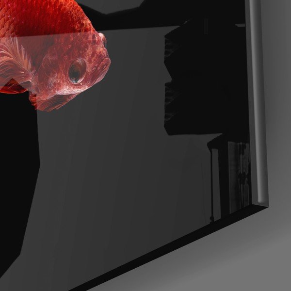 Skleněný obraz Insigne Betta II.-image-3