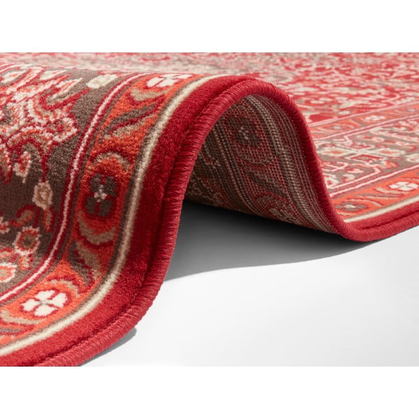 Světle červený koberec Nouristan Skazar Isfahan, 160 x 230 cm-image-2