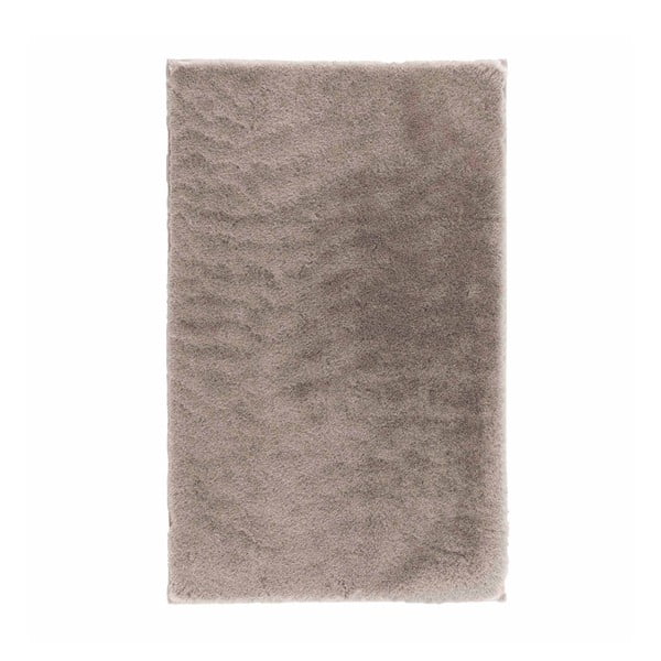 Hnědý koberec 60x90 cm Feline – douceur d'intérieur