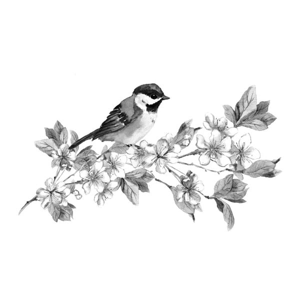 Obraz Black&White Birdie, 45 x 70 cm