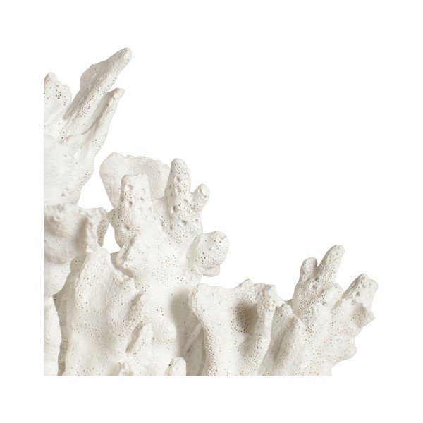 Dekorace Côté Table Coral-image-1