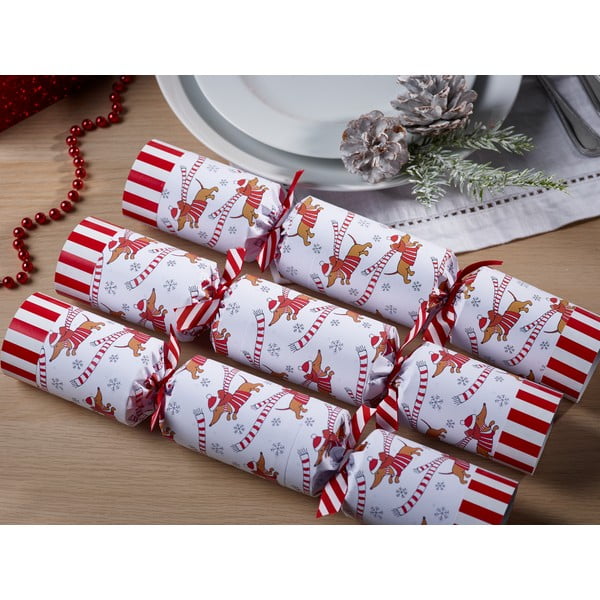 Vánoční crackery v sadě 6 ks Racing Sausage Dog – Robin Reed-image-1