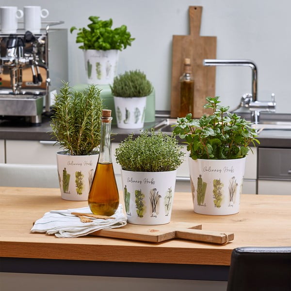 Keramické květináče v sadě 2 ks na bylinky ø 14 cm Dalllas Culinary - Big pots-image-2