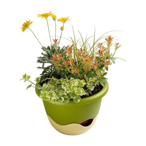 Zeleno-bílý samozavlažovací květináč vhodný k zavěšení Plastia Mareta, délka 25 cm-image-2