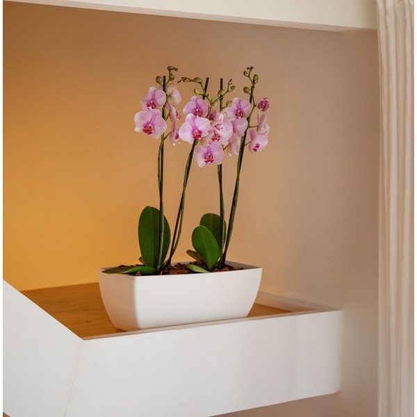 Truhlík z recyklovaného plastu 40 cm Siena – Artevasi-image-4