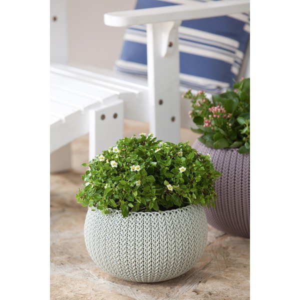 Plastový závěsný květináč ø 28 cm Cozy – Keter-image-1