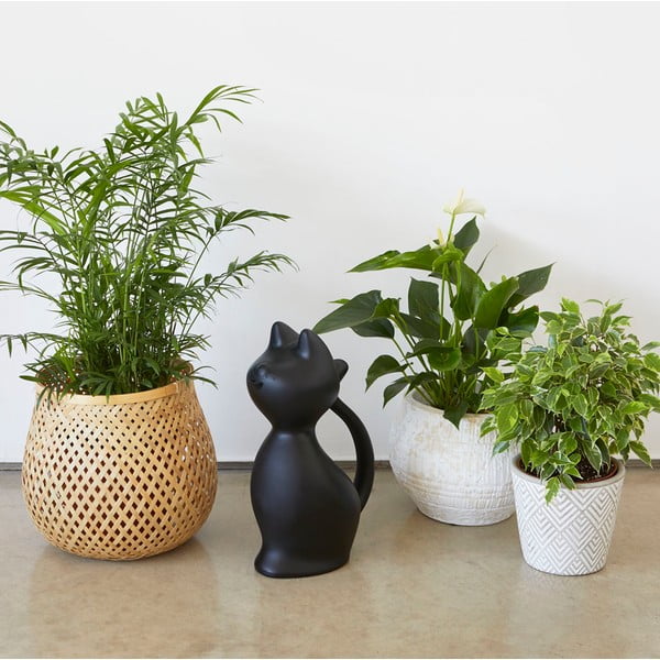 Plastová konvička na zalévání 2 l Meow – Balvi-image-1