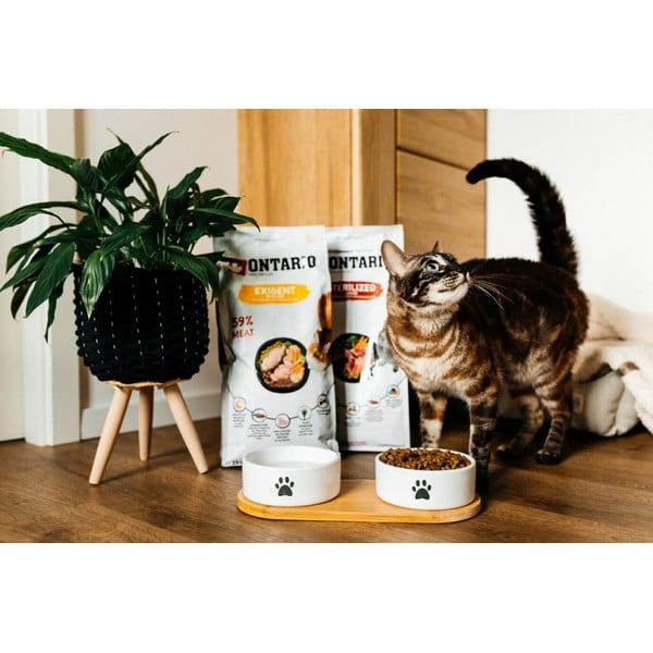 Keramický set misek s podstavcem pro psa ø 13 cm Dog Fantasy – Plaček Pet Products-image-1