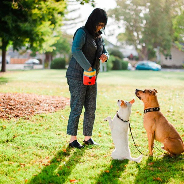 Pamlsovník Deluxe Sunrise – P.L.A.Y.-image-1