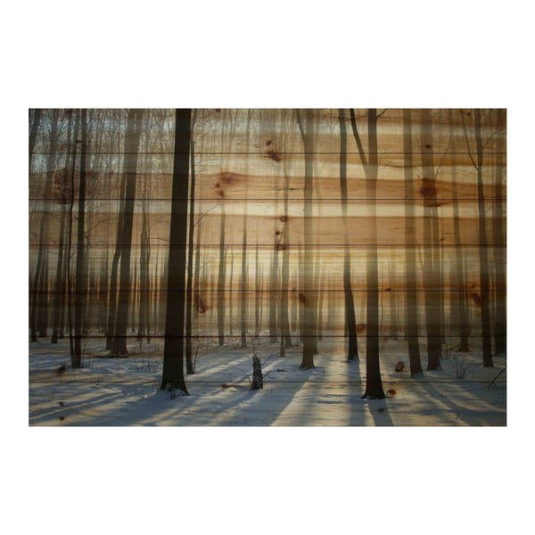 Obraz na dřevě Marmont Hill Wooden Age, 61 x 41 cm