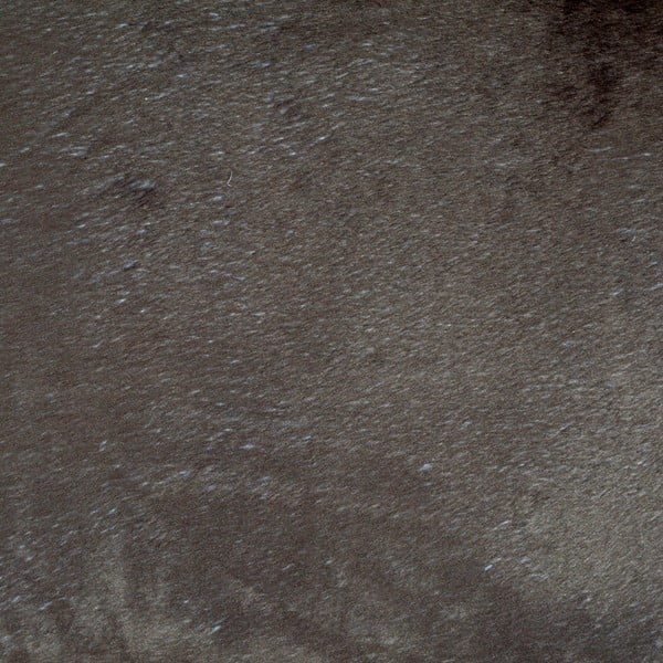 Světle hnědý pelíšek pro psa ø 60 cm – Love Story-image-3