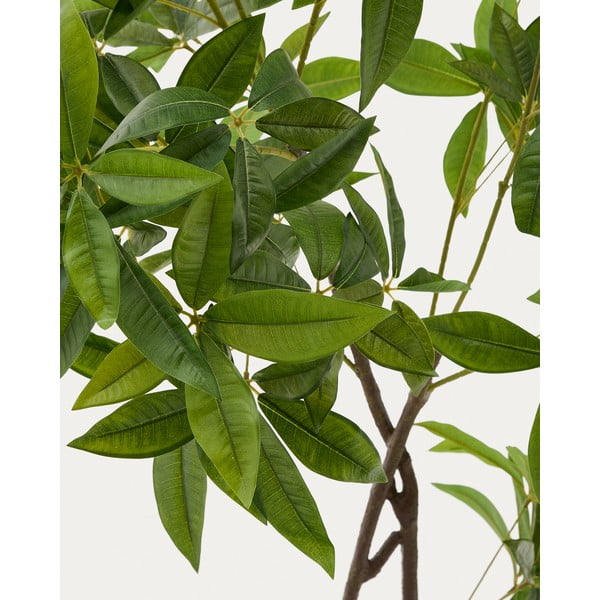 Umělá rostlina (výška 180 cm) Pachira – Kave Home-image-1