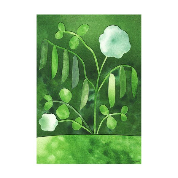 Plakát 50x70 cm Peas in Bloom – Anna Ravn Bjørn – The Poster Club