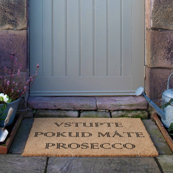 Rohožka z kokosového vlákna 40x60 cm Prosecco – Artsy Doormats-image-4