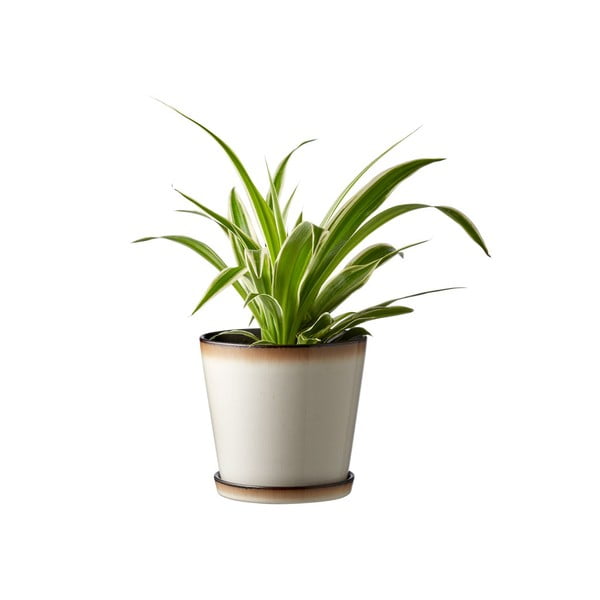 Kameninový květináč ø 14 cm Gastro  – Bitz-image-1